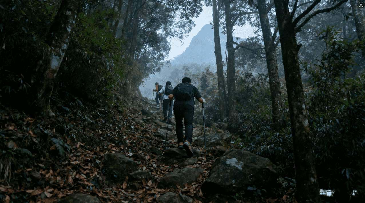 原子加速器3.3官方版免费下载途径